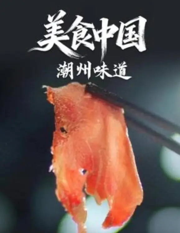 美食中国·潮州味道海报