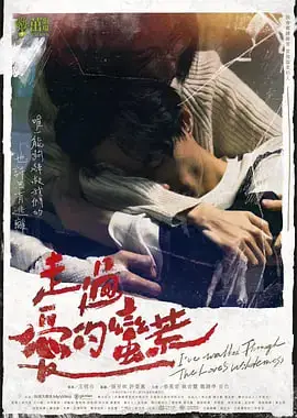 走过爱的荒蛮海报