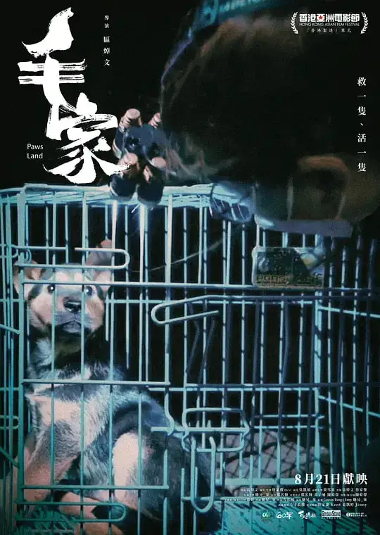 毛家 2024海报